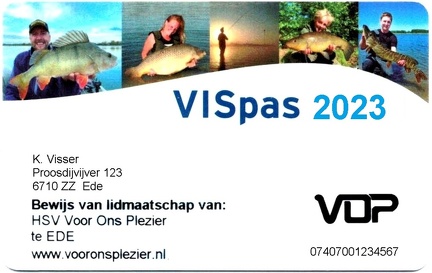 VISpas 2023