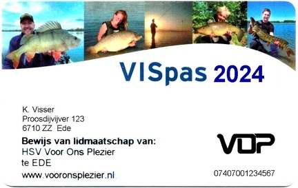 VISpas 2024