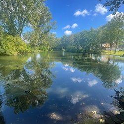 Bennekom