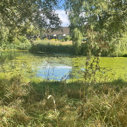 Bennekom