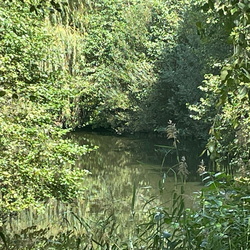 Ede Veldhuizen