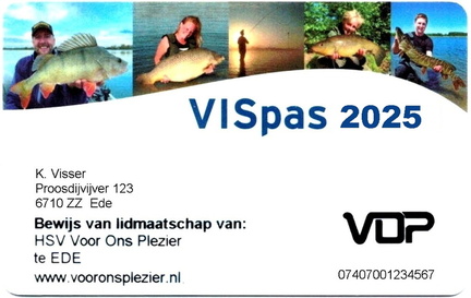 VISpas 2025