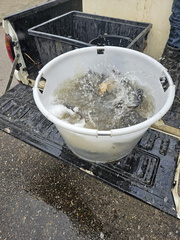 IMG-20250326-WA0009