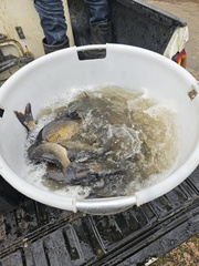 IMG-20250326-WA0022