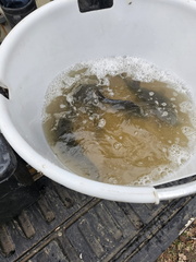 IMG-20250326-WA0026