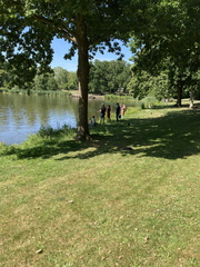 IMG 0294