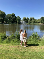 IMG 0290