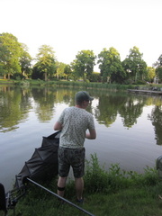 IMG 4162