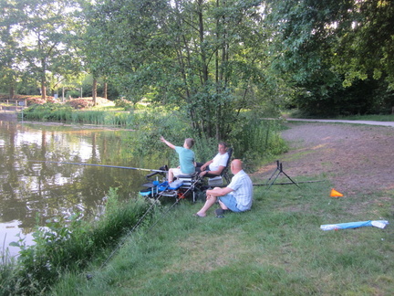 IMG 4154