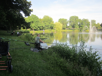 IMG 4234